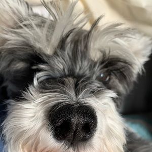 Meet your Posher, Sabrina